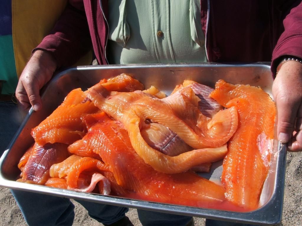 Peterson'S Point Lake Lodge Yellowknife Εξωτερικό φωτογραφία