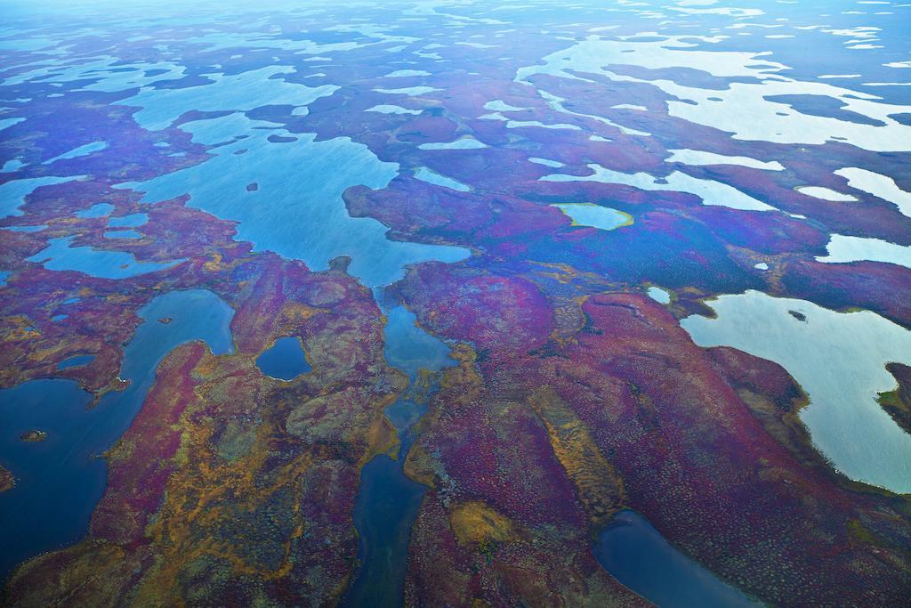 Peterson'S Point Lake Lodge Yellowknife Εξωτερικό φωτογραφία