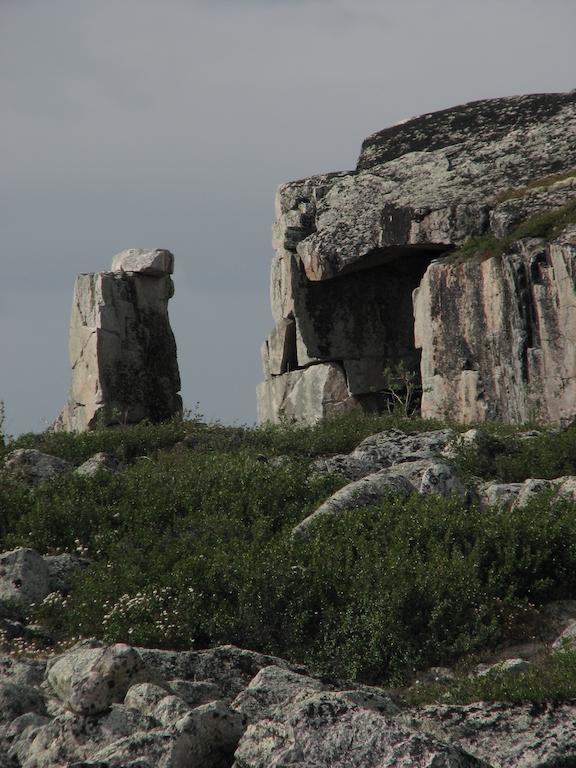 Peterson'S Point Lake Lodge Yellowknife Εξωτερικό φωτογραφία